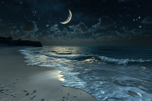 Download Beach Night Background Wallpaper - Background Collection